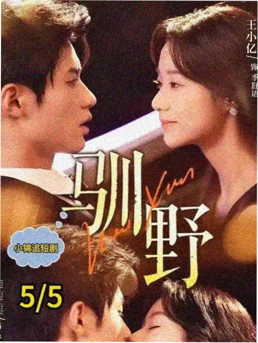 回声档案室短剧封面